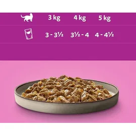 Whiskas Pure Delight Geflügel Ragout in Gelee 40 x 85 g