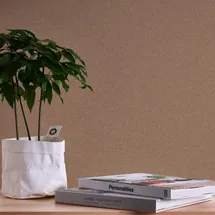 A.S. Création As Création Vliestapete Einfarbig 10,05 m x 0,53 m Made in Germany