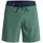 QUIKSILVER Boardshorts Surfsilk Kaimana 16 Grün S