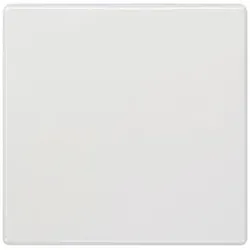 Siemens 5TG7141 DELTA style Wippe neutral, titanweiß