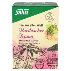 KARIBISCHER Traum Bio Salus Filterbeutel 15 St