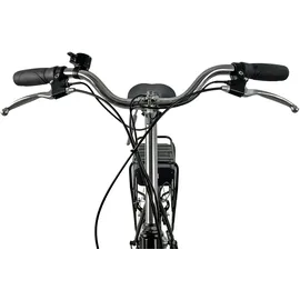 Llobe Pure 20 Zoll RH 43 cm schwarz