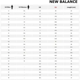 New Balance 530 White/Natural Indigo 42