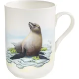 Maxwell & Williams PBA0009 Animals of The World Becher Seehund, Geschenkbox, Porzellan, weiß/bunt