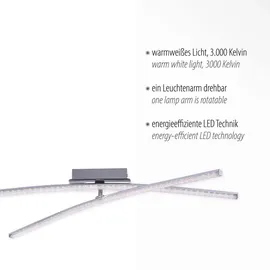 just light. Simon 2-flg. (11292-17)