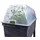 GARANTIA Urban Anzuchthaube 75 x 37 x 22 cm