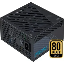 Azza PSAZ-750G 80+ GOLD PCIe 5.0 retail