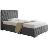 panda möbel Polsterbett, Grau, Holz, Mode, 120x206 cm, Oeko-Tex® Standard 100, Schlafzimmer, Betten, Polsterbetten