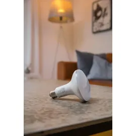 LEDVANCE Smart+ 208421 6W E14