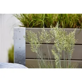 Plus Cubic Pflanzkasten 120 x 50 x 70 cm Braun