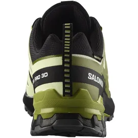 Salomon XA Pro 3D V9 GTX Herren Trailrunningschuhe, Shoes, Black, 42