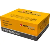 AgfaPhoto Professional Micro AAA 10 St.