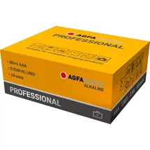 AgfaPhoto Professional Micro AAA 10 St.