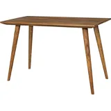 FineBuy Esstisch Esstisch Sheesham Massivholz 120 x 60 cm