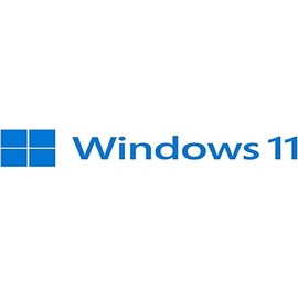 Microsoft Windows 11 Pro EN