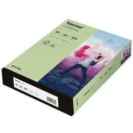 Inapa tecno colors A4 80 g/m2 500 Blatt mittelgrün