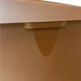 Wellhome 110 l Braun