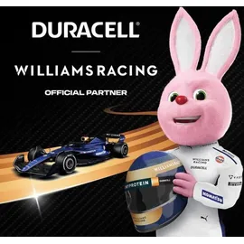 Duracell Plus Power Micro (AAA)-Batterie Alkali-Mangan 1.5 V 24 St.