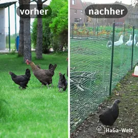 Haga Kunststoffzaun 1,20 m Grün