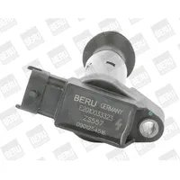 BorgWarner (Beru) Beru ZS557