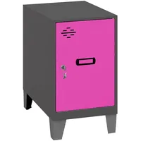 Simonlocker montadas Dism.mini+pies Schließfach 575x300x500 mm, - Anthracite /