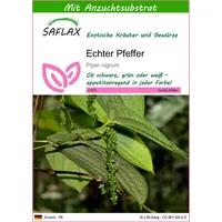 SAFLAX - Echter Pfeffer - Piper nigrum