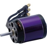 Hacker Brushless Motor A20-12 XL EVO (97800010)