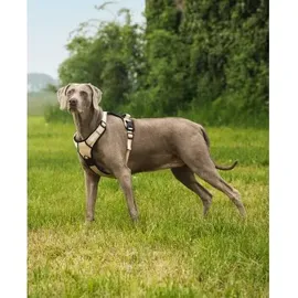 LIONTO Hundegeschirr Beige L