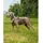 LIONTO Hundegeschirr Beige L