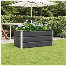 vidaXL Planter 100 x 50 x 45 cm Anthrazit