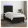 vidaXL Boxspringbett 100 x 200 cm Schwarz