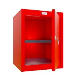 Phoenix Safe Phoenix Würfel-Schließfach CL0544RRK
