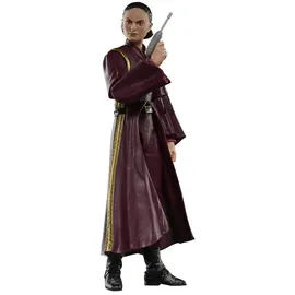 Hasbro Padmé Amidala Action-Figur 15 cm