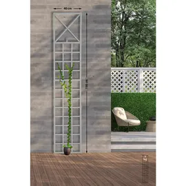 CLP Rankgitter Trigo 200 x 40 cm Weiß