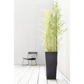 Ecopots Pflanztopf Rotterdam hoch Dunkelgrau 70 cm