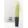Ecopots Pflanztopf Rotterdam hoch Dunkelgrau 70 cm