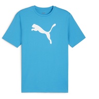 Puma Herren Teamrise Logo Jersey Baumwolle T-Shirts