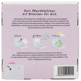 Die Stadtgärtner Wiesen-Margeriten Pflanzset Danke, dass du mir beim Wachsen geholfen hast" – Einzigartiges Geschenk | Bedanken, das wächst & lange Freude schenkt