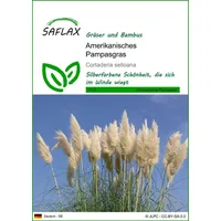 SAFLAX - Amerikanisches Pampasgras - 200 Samen - Cortaderia