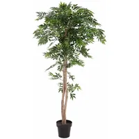 Europalms Ficus Longifolia, Kunstpflanze, 165cm