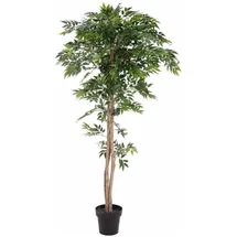 Europalms Ficus Longifolia, Kunstpflanze, 165cm