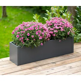 Tchibo Talus Pflanzkasten 100 x 25 x 27 cm Anthrazit