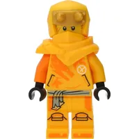 LEGO Ninjago: Arin