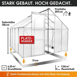 Brast Gewächshaus Aluminium Silber 6 mm 6,25 m2