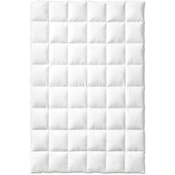 Typ Eiderdaune Kassettendecke classic