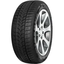 MINERVA Frostrack UHP 225/45 R17 91V