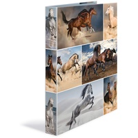 Herma Ringbuch Animals Pferde, DIN A4 35 cm