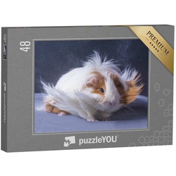 puzzleYOU Puzzle Meerschweinchen mit langer Haarpracht, 48 Puzzleteile, puzzleYOU-Kollektionen Meerschweinchen, Bauernhof-Tiere