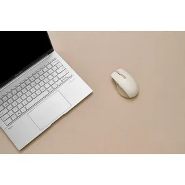 Asus MD200 Beige