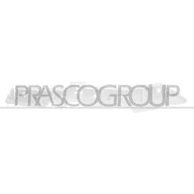 PRASCO Halter, Stoßfänger PG9131014